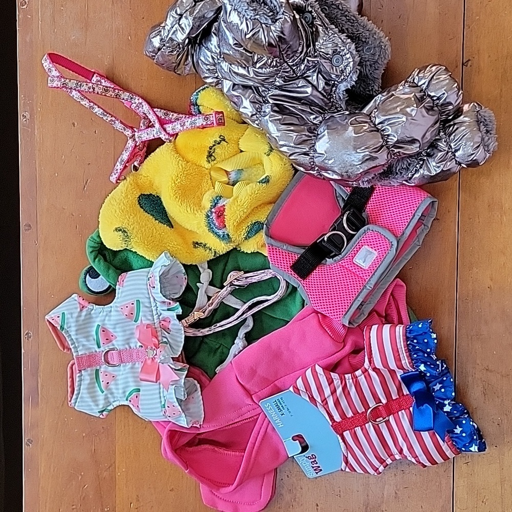 Small Dog Essentials- 9 pieces